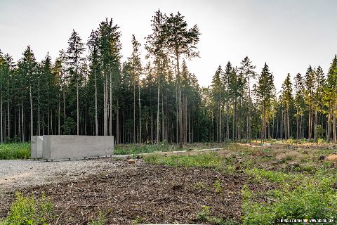 Gemeinde Mühldorfer_Hart Landkreis Mühldorf Massengrab (Dirschl Johann) Deutschland MÜ